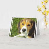 Beagle Grußkarten Karte (Gelbe Blume)
