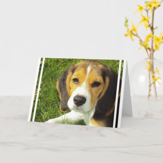 Beagle Grußkarten Karte (Gelbe Blume)