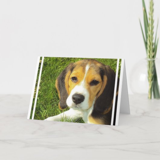 Beagle Grußkarten Karte (Vorderseite)