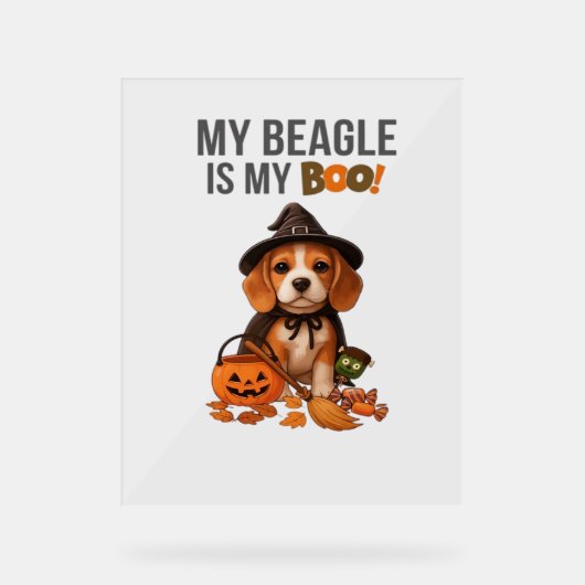 Beagle Halloween Kostüm Mein Beagle ist mein Boots Acrylschild (Vorderseite)