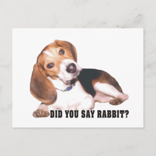 Beagle hast du Kaninchen gesagt? Postkarte