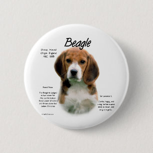 Beagle History; alles über Beagle Button