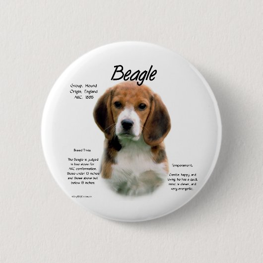 Beagle History; alles über Beagle Button (Vorderseite)