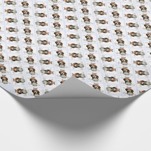 Beagle History; alles über Beagle Geschenkpapier (Ecke)