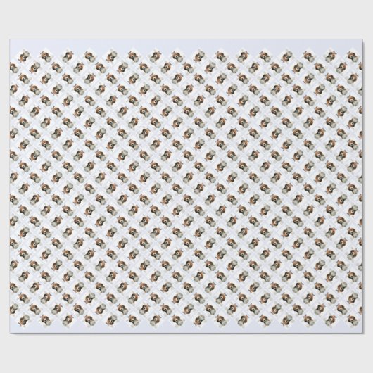 Beagle History; alles über Beagle Geschenkpapier (Flach)