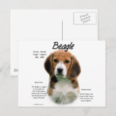 Beagle History; alles über Beagle Postkarte (Vorne/Hinten)