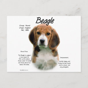 Beagle History; alles über Beagle Postkarte