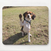 Beagle-hohe fünf Mausunterlage Mousepad (Vorne)