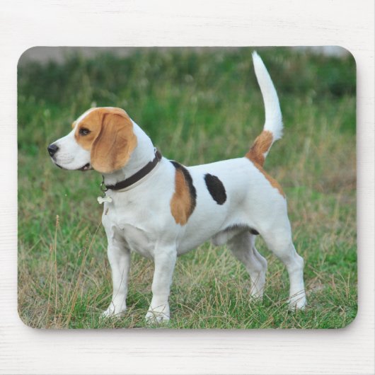 Beagle Hound Dog Mousepad (Vorne)