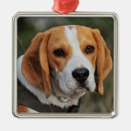 Beagle Hound Dog Ornament Aus Metall