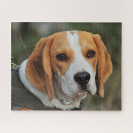 Beagle Hound Dog Puzzle