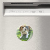 Beagle Hound Dog Round Magnet (In Situ (Geschirrspüler))