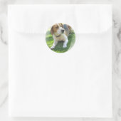 Beagle Hound Hund Sticker (Tasche)