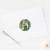 Beagle Hound Hund Sticker (Umschlag)
