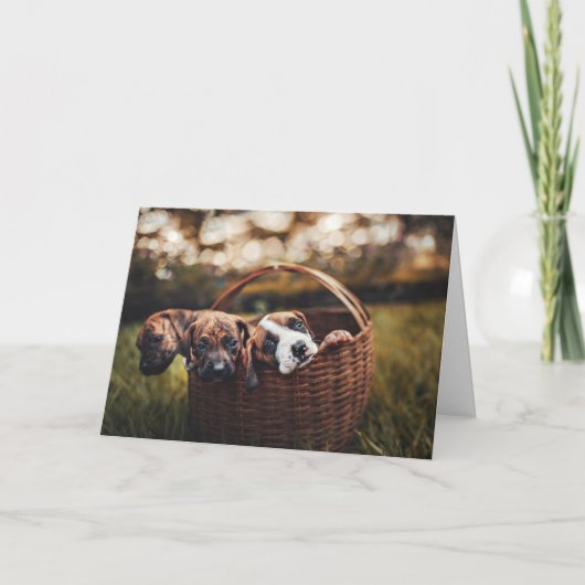 Beagle Hound Lover Dog Welpen Dog Denken Sie an Si Karte (Vorderseite)