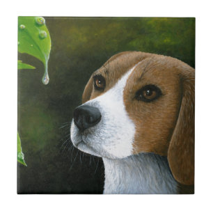 Beagle Hund 116 Fliese
