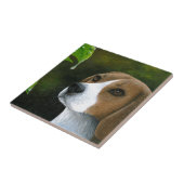 Beagle Hund 116 Fliese (Seite)