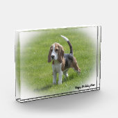Beagle Hund. Fotoblock (Links)