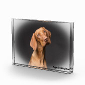 Beagle Hund. Fotoblock (Rechts)