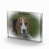 Beagle Hund Fotoblock (Rechts)