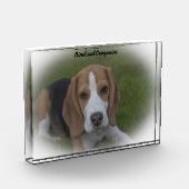 Beagle Hund Fotoblock (Links)