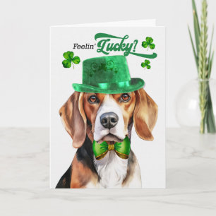Beagle Hund fühlt sich am St. Patrick's Day glückl Feiertagskarte