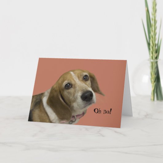 Beagle Hund Geburtstagskarte Karte (Vorderseite)