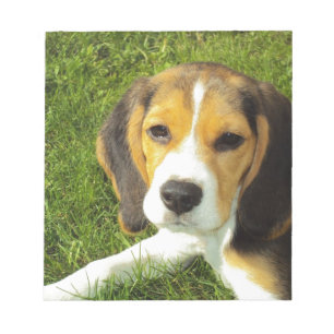 Beagle Hund Haustiere Frieden Liebe Notizblock