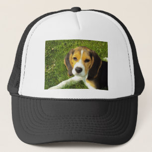 Beagle Hund Haustiere Frieden Liebe Truckerkappe
