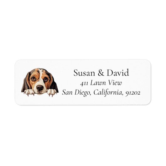 Beagle Hund Rasse Heimtiere Liebhaber (Vorne)