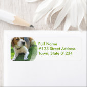 Beagle-Hund-Rückgabeadresse-Etikett (Insitu)