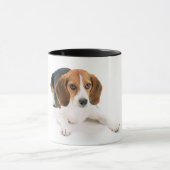 Beagle-Hund Tasse (Zentrum)