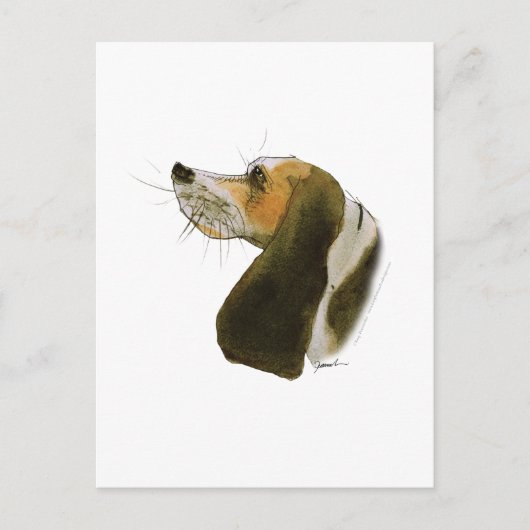 Beagle Hund, tony fernandes Postkarte (Vorderseite)