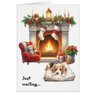 Beagle Hund wartet auf Weihnachten