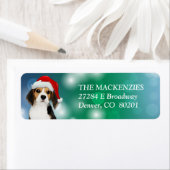 Beagle Hund Weihnachtsmannmütze Rückgabeadresse Et (Insitu)