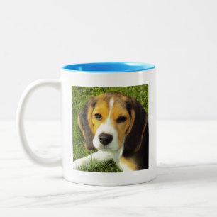 Beagle Hund Welpe Tasse Kaffee Tasse Cup