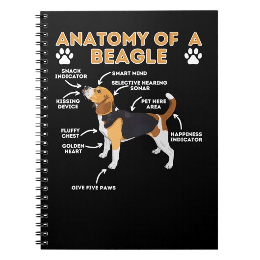Beagle Hunde Anatomie eines Beagle Funny Beagle Hu Notizblock (Vorderseite)