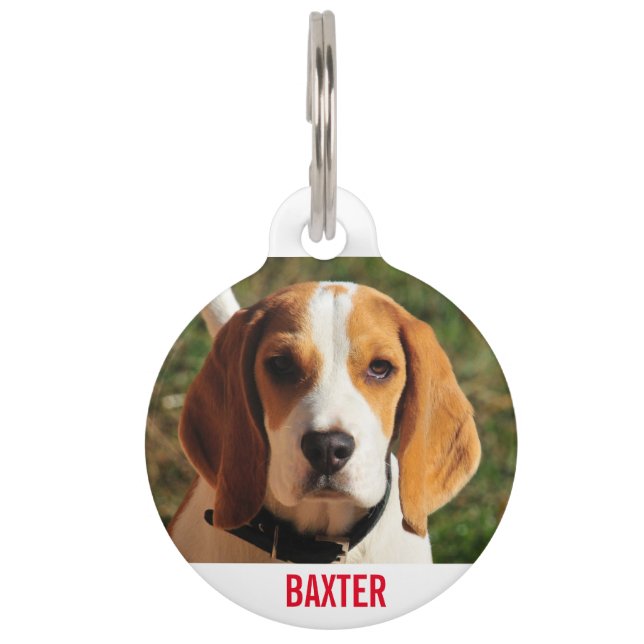 Beagle Hunde Foto Personalisiert Haustiermarke (Vorderseite)
