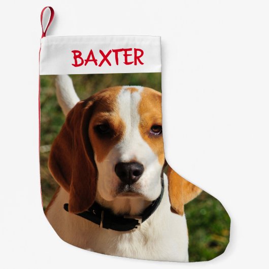 Beagle Hunde Foto Personalisiert Kleiner Weihnachtsstrumpf (Vorderseite)