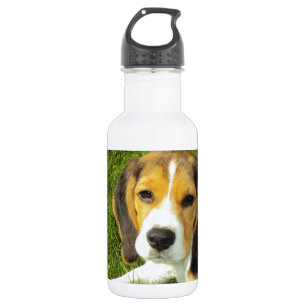 Beagle Hunde Haustiere Liebe Frieden Edelstahlflasche