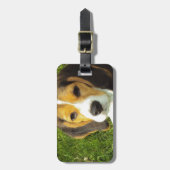 Beagle Hunde Haustiere Liebe Frieden Gepäckanhänger (Vorderseite vertikal)