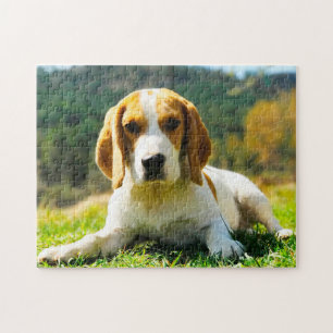 Beagle Hunde. Puzzle