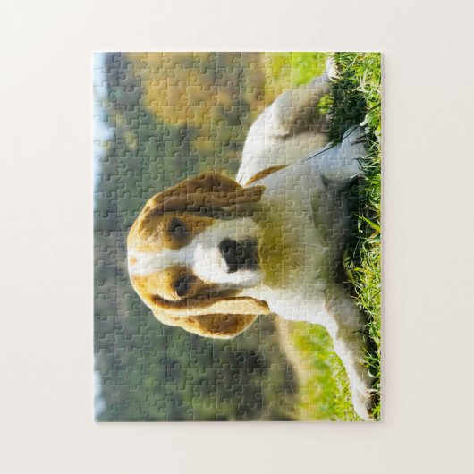 Beagle Hunde. Puzzle (Vertikal)