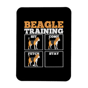 Beagle Hunde-Training Hund Magnet