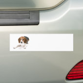 Beagle-HundeAutoaufkleber Autoaufkleber (Auf Auto)