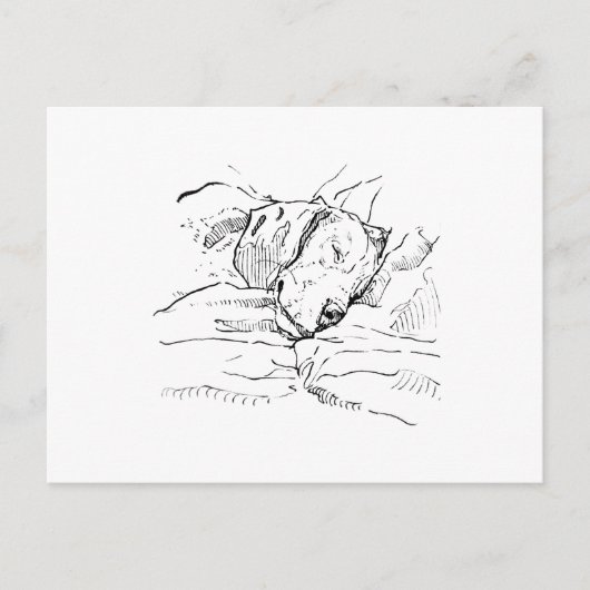 Beagle-Hundefan Illustration Postkarte (Vorderseite)