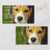 Beagle-Hundegeschäfts-Karte Visitenkarte (Vorne/Hinten)
