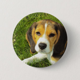 Beagle-Hundehaustier-Tier-FriedensLiebe Button
