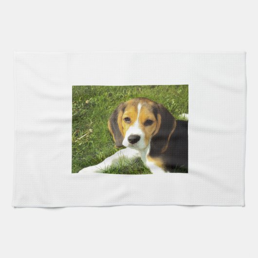 Beagle-Hundehaustier-Tier-FriedensLiebe Geschirrtuch (Horizontal)