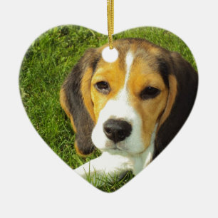 Beagle-Hundehaustier-Tier-FriedensLiebe Keramikornament